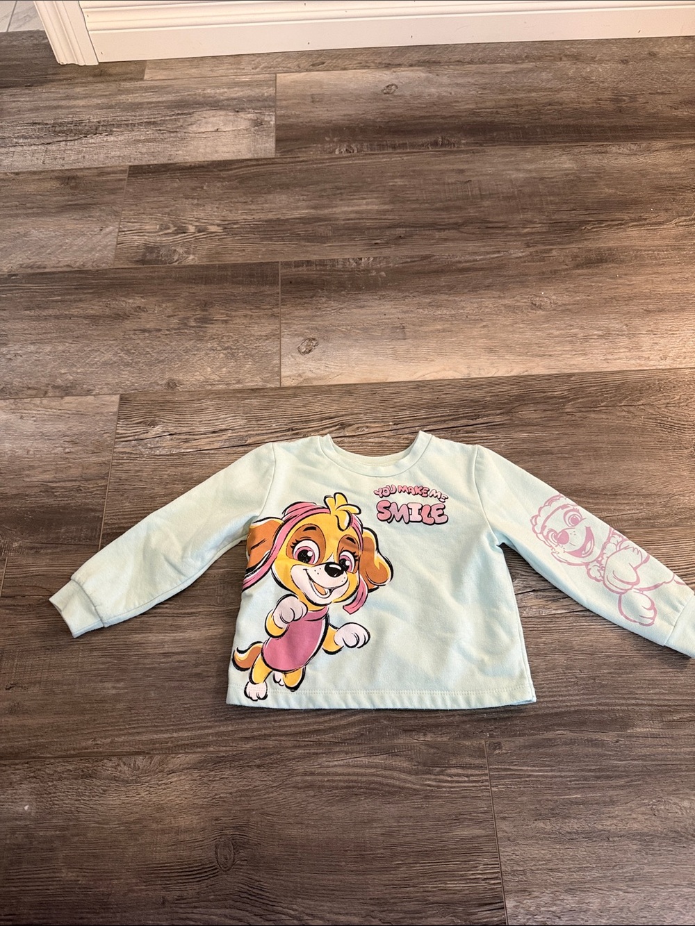 Nickelodeon Kids Light Blue Graphic Pullover Top with Puppy Print